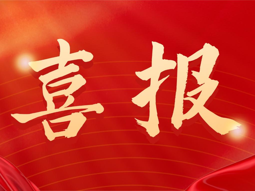 喜报|2026年开年首战!祝贺中惒围棋在陕西省春季围棋段级位赛中281人升段成功！
