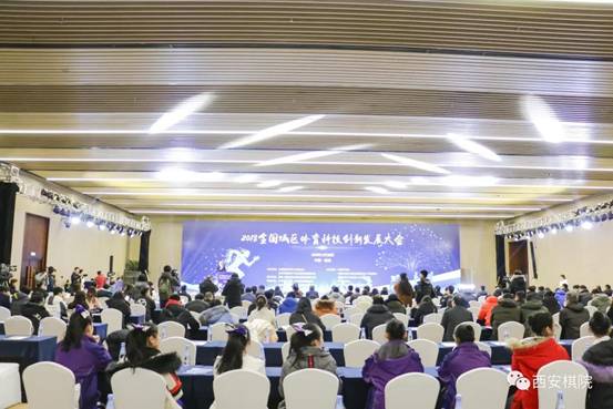 重磅！西安棋院应邀出席2018全国城区体育科技创新发展大会